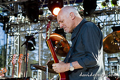 Peter Frampton