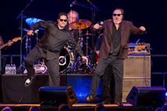 Jim Belushi and the Sacred Hearts