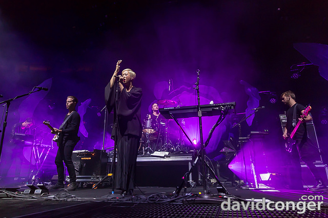 The Naked And Famous