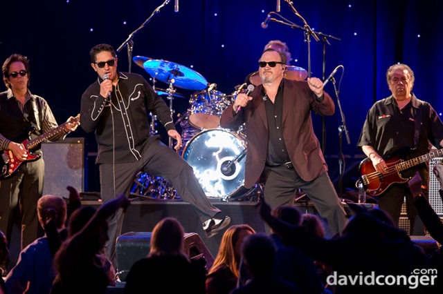 Jim Belushi and the Sacred Hearts