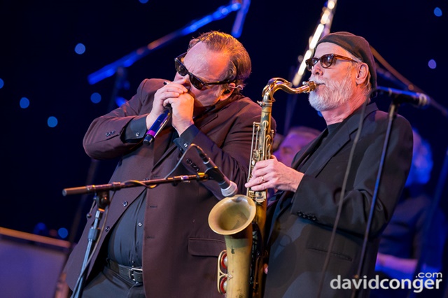 Jim Belushi and the Sacred Hearts