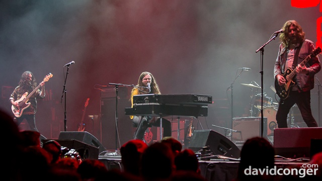 Jroddy Walston and The Business